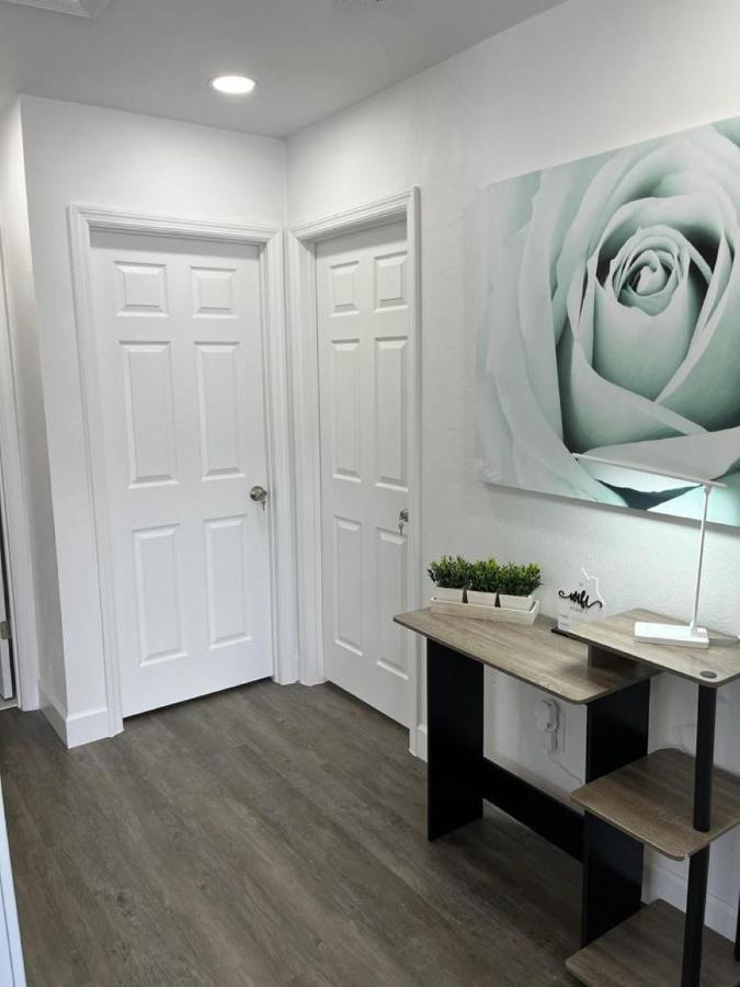 Incredible Comfortable Apartments Near The Airport And Beaches タンパ エクステリア 写真